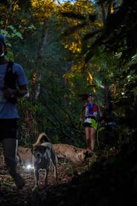 BIB: 
                            <button type="button" onclick="openModal(19232310)" class="btn btn-primary btn-sm float-right btn-popup" data-toggle="modal" data-target=".modal-high-quality">
                        <i class="fas fa-shopping-cart"></i> Add to Cart
                    </button>
                                            <button type="button" onclick="isThisMe(19232310, true)" class="btn btn-success btn-sm float-right btn-popup btn-isme hidden" data-toggle="tooltip" data-placement="bottom" title="นี่คือรูปของคุณใช่ไหม คลิกที่นี่เพื่อเอาเข้าอัลบั้ม">
                        <i class="fas fa-plus"></i> Add to album
                    </button>
                    <button type="button" onclick="isThisMe(19232310, false)" class="btn btn-warning btn-sm float-right btn-popup btn-isnotme hidden">
                        <i class="fas fa-ban"></i> Remove from album
                    </button>